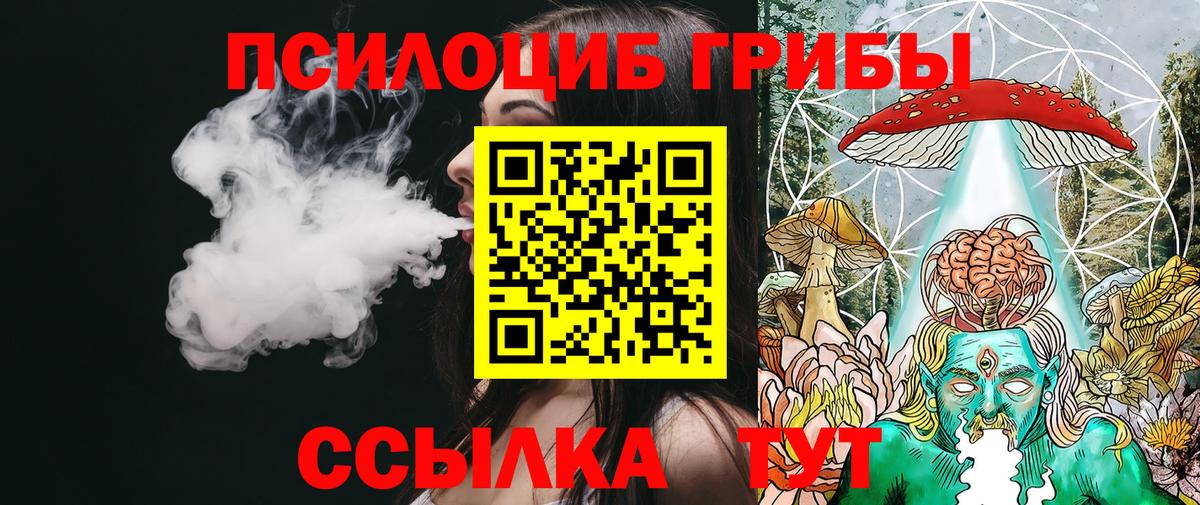 Галлюциногенные грибы Cubensis Владикавказ