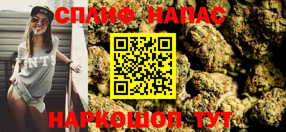 Марихуана тримм  Бошки марихуана планчик  Владикавказ  Каннабис VHQ  Вход с VPN 